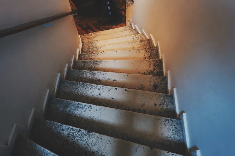 A photo of dingy stairs leading into a dark room.